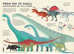 Image result for Biggest Dinosaur Size Clip Art