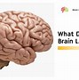 Image result for What the Calm Brain Looks Like