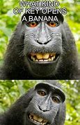 Image result for Where Ape Meme