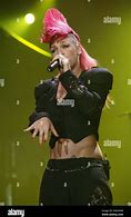 Image result for Pink In2004