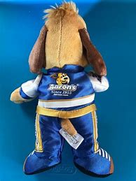 Image result for NASCAR Mascot