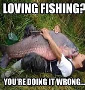 Image result for Animals Fish Funny Memes