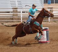 Image result for Western Riding Barrel Racing