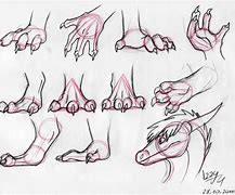 Image result for Dragon Talons Drawing Reference