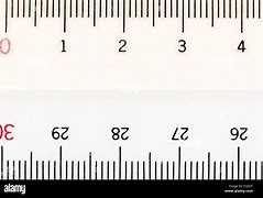 Image result for Centimeter Real Size