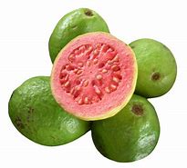 Image result for Guava Clip Art