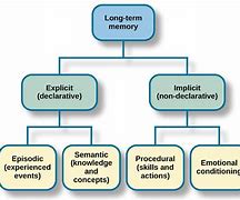 Image result for Episodic Memory Aging