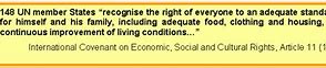 Image result for Right to an Adequate Standard of Living