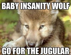 Image result for Cute Wolf Memes