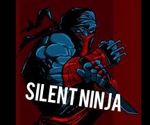 Image result for Silent Ninja