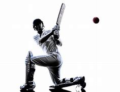 Image result for Cricket Pose