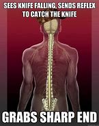 Image result for Spine Meme