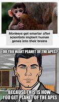 Image result for Planet of the Apes Meme CS:GO