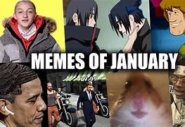 Image result for January 2019 Memes
