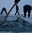 Image result for Oymyakon Siberia Russia