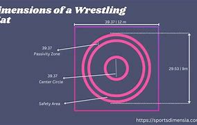 Image result for Wrestling Dimensions