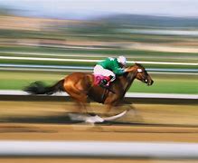 Image result for Horse Racing Photos
