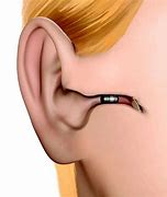 Image result for Ear Canal and Hearing Aid