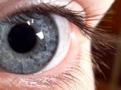 Image result for Silver Eye Contact Lenses