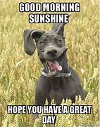 Image result for Have a Great Day Cute Meme