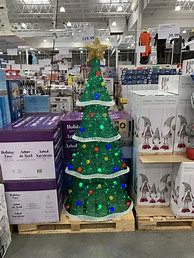 Image result for Costco Christmas Tree Return