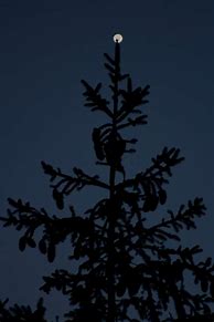 Image result for Blurry iPhone Picture of Venus