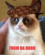 Image result for Cat in the Hood Meme