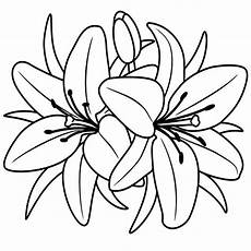 fiori da disegnare disegni di fiori fiori da disegnare disegni di fiori