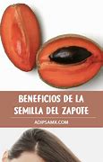 Image result for semilla de zapote