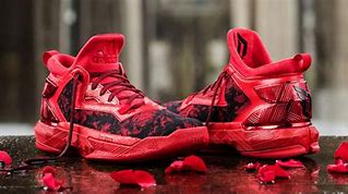 Image result for Damian Lillard Spiders Shoes
