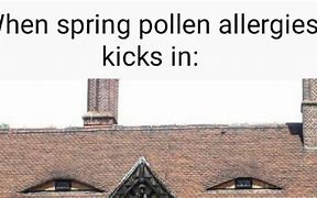 Image result for Spring Allergy MEME Funny