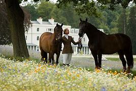Image result for Ascot Horse Riding