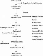 Image result for Apple Fruit Extract