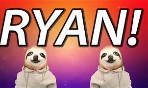 Image result for Ryan Sloth