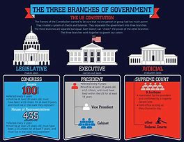 Image result for Local Government United States