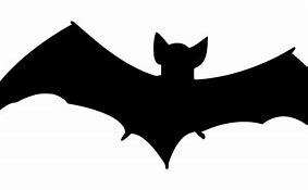 Image result for Types of Vampire Bat