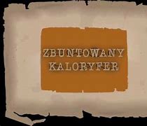 Image result for co_to_za_zbuntowany_kaloryfer