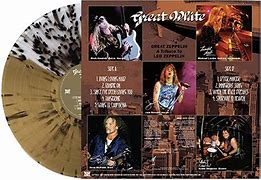 Image result for Rock Bank Great White