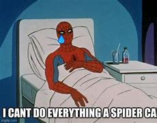 Image result for Sad Spider Meme