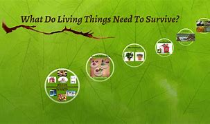 Image result for Clip Art What We Need to Survive