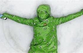 Image result for Cricket Wireless Snow Rock