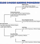 Image result for Harris Family Tree Ancestry