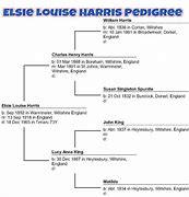 Image result for Harris Family Tree of Alabama