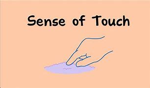 Image result for Sense of Touch Smooth Examples
