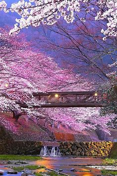 Japan Cherry Blossoms Kameoka Bridge Spring Home Decor | Etsy in 2022 ...