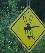 Image result for Interesting Signs