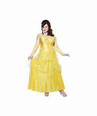 Image result for Plus Size Princess Costume