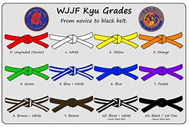 Image result for Grey Belt Jiu Jitsu