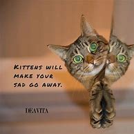 Image result for Short Cat Quotes Funny