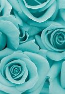 Image result for Turquoise Flower Background